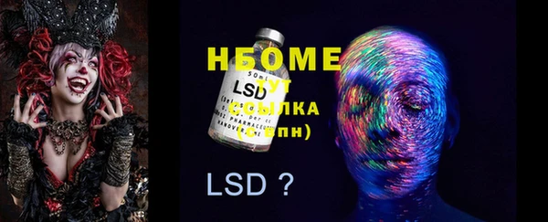 шишки Няндома