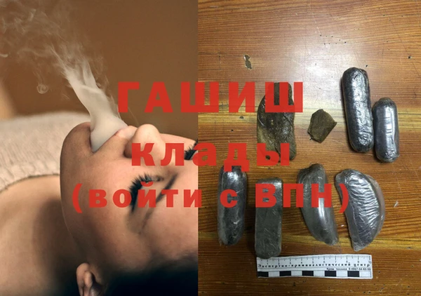 шишки Няндома