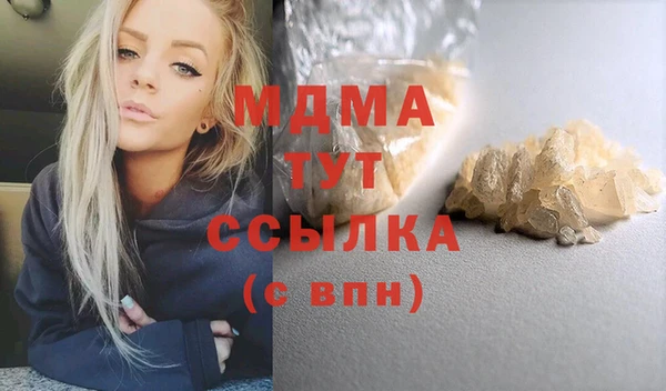 шишки Няндома