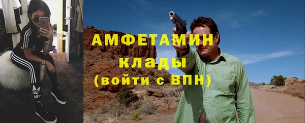 шишки Няндома