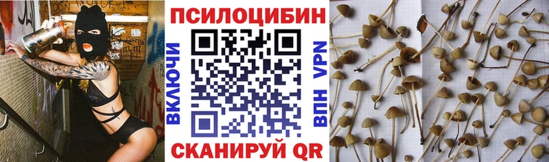 Псилоцибиновые грибы Psilocybine cubensis Ржев