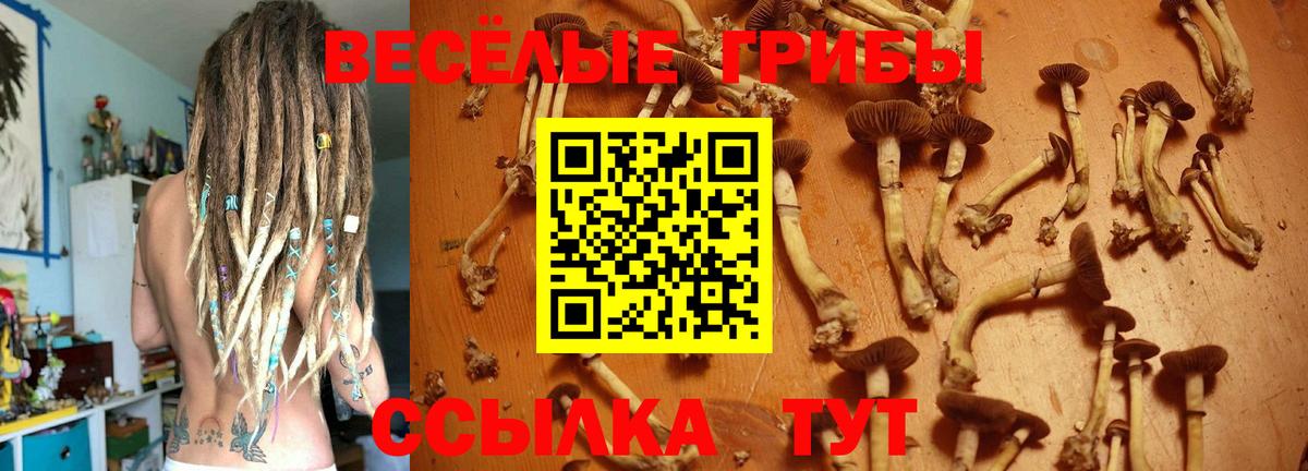 НБОМе  Метадон  Конопля  Вход с VPN  МЕФ  Кодеин  A-PVP  Гашик  Ржев  Кокаин 